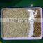 ZRWS grain color sorter machine/ ccd color sorter 1 t/h sorting machine price