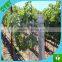new HDPE garden anti bird netting/fruit protection net protection netting/cherry orhard anti bird protection net
