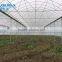 polytunnel garden greenhouse pollytunnel