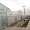 Plastic film greenhouse for tomato
