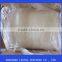 frozen giant squid fillet
