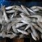 land frozen good price for canning trawling sardine