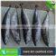 Carton or Woven Bag Packed Fat Content 16%-18% Cleaned Bonito