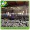 Lowest price with high quality kitchen scrubber cleaning ball