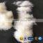 Wholesale Merino Wool Fiber