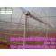 Gutter Connected Greenhouses for Agriculture