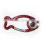 led carabiner