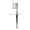 Dissecting Forceps