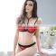 Lace Sheer Bralette Strappy Harness Bra Set