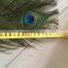 170cm five lines wholesale natural peacock feather wooden fan for party