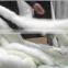 White raccoon fur skin, fur skin for women's clothing, raccoon fur skin for garment