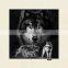 Lenticular 5D Picture Animal Poster Painting Home Wall Art Decor