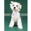 Dog Clothes Summer Thin Lovely Princess Dress Dog One-piece Dress Teddy Corgi Schnauzer Pomeranian Clothing