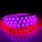 Flexible LED Strips Light 60LEDS/m RGB LED Strip DMX512