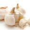 new scent oil fruit serious aroma organic garlic essential oil