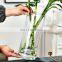 custom size cylinder glass tube vase 50cm for home decoration