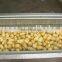 Top quality sweet potato roll brush peeling cleaning machine with cheap price