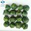 Sinocharm BRC A approved IQF Spinach Ball Frozen Spinach Ball