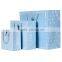 blue popular hand paper bag