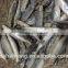 Frozen Round scad with size 55 - 70 pcs / 10kg
