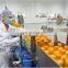 Customized Compound fruit juice processing line Mango peeled Pitting machine