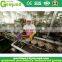 2017 New tuna canning plant With Good Service