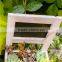 Decoration Wooden Planter Box Flower Wood Pots