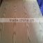 0.3mm engineered ASH veneer face for doors and furniture Linyi factory professinal manufactures