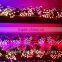 best selling 12w LED Pixel Lights christmas led lights led star light