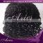 Virgin brazilian full lace wigs, human hair wig