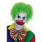 Multi Color Rainbow Clown Afro Adult Wig