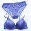 Luxury lingerie set ladies bra set full lace bra and panties women                        
                                                                                Supplier's Choice