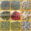 Pumpkin Seeds Wholesale Snow White Pumpkin Seeds