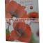 bulk wholesale frameless glass photo picture frame 4x6 5x7 6x8 8x10 cheap