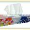 Virgin Wood Pulp Material and 2 Ply Layer box facial tissue paper