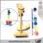 Pengiun Puzzle Pendulum Theory Science Kit