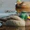 Hot Selling Mallard Hunting Duck Decoys Mandarin Duck Decoy