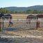  China Factory Cattle Panel