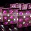 Energy saving eshine systems led grow light 600w garden solar light from China