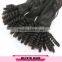 One donor unprocessed 100% virgin brazilian human hair, top kinly curly human hair braid in bundles