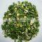 new crop of dehydrated chive rolls 5x5 8x8mm