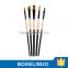 516 Bergino 5 Pieces Great Variety of Nylon Hair Paint Brushes For Watercolor Gouache, Acrylic, Oil