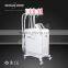 Lipo Cryo Fat Freezing Machine For Spa Used