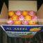 FRESH STYLE lemon and Navel / Valencia Oranges in Egypt