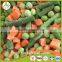 Manufacturer wholesale bulk IQF frozen california mixed vegetable