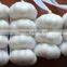 Spice Vegetable of Chinese Garlic Grade A for Export