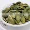 Snow White Pumpkin Seeds and Pumpkin Seeds Kernels for Sale