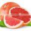 Supplier of Grape Fruit Oil / Fresh / Natural / Pure