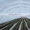 Pathfinder 16mm 0.2mm Drip Tape for Irrigation