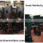 Neweek vertical wood band lumber cutting saw machine